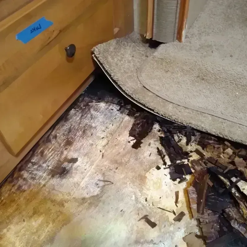 Wood Floor Water Damage in Anchorage, AK